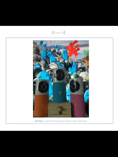 Видеоняня /WiFi видеокамера CleverDog Rose с DVR