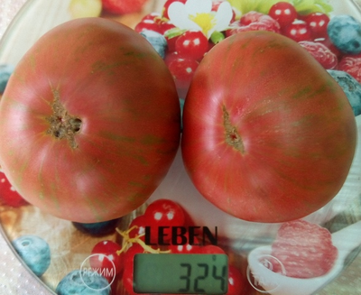 Томат Темная королева (Dark Queen), США