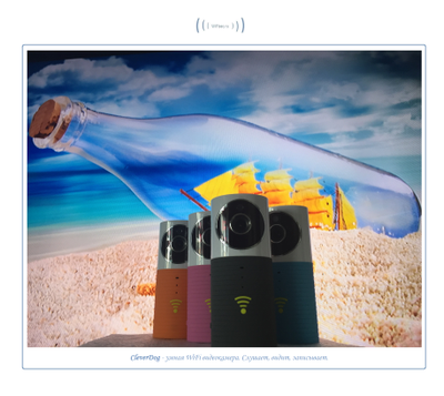 Видеоняня /WiFi видеокамера CleverDog Blue с DVR