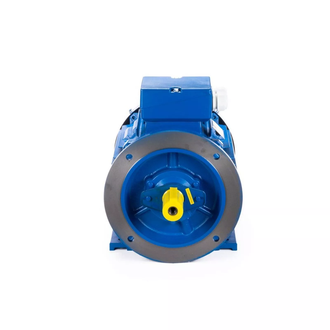 Электродвигатель АИС 160L4 (15 кВт) IM B35