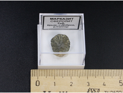 Марказит (Сферолит), в пластиковом боксе, Крым, с. Доброе №24181