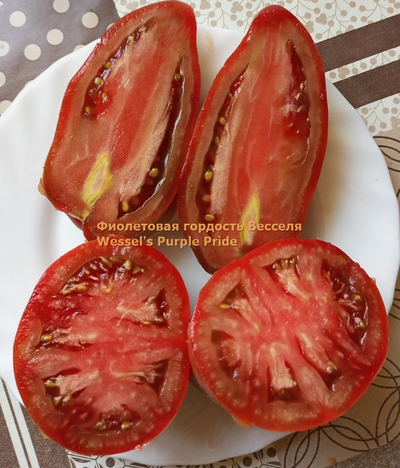 Томат Фиолетовая гордость Весселя (Wessel's Purple Pride)