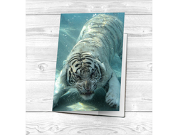 Обложка на паспорт год Тигра №9