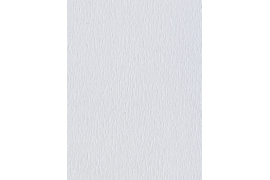 Сиде black-out 1608 светло-серый (цен.кат. 2)