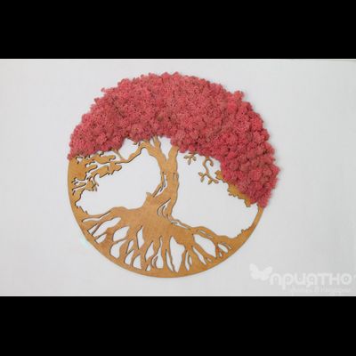 ЖИВАЯ ЭКО-КАРТИНА 1021