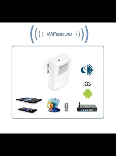 Охранная IP WiFi-LAN видеокамера с ночным видением и аудиоканалом (корпус ИК датчика), встроенный DVR. HD (Pro Ezcam)