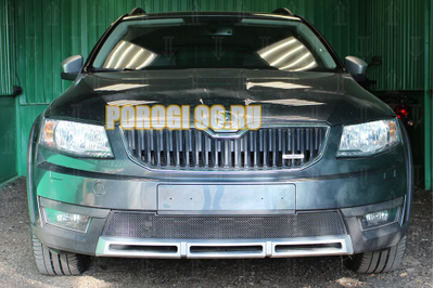 Защита радиатора Skoda Octavia A5 Scout 2004-2013 black
