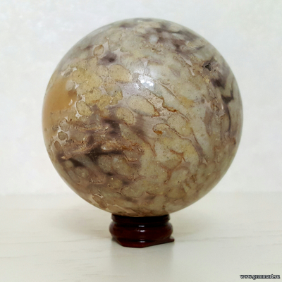 Окаменелое дерево. Россия. Около 86мм.