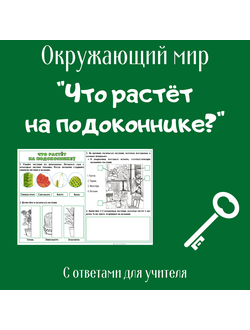 Рабочий лист. 1 класс. "Что растёт на подоконнике?"