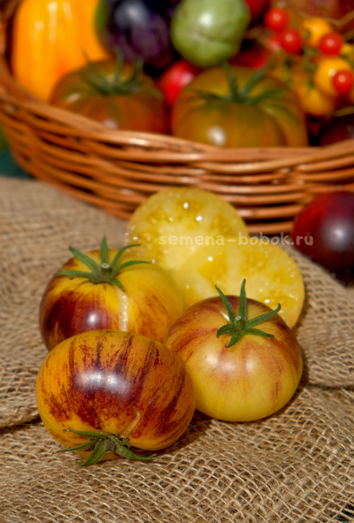 Томат Rebel Starfighter Kayleigh Anne (Восставший Звездный Истребитель Кейли Энн круглый), 10 шт