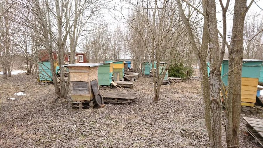 Зайдем отсюда