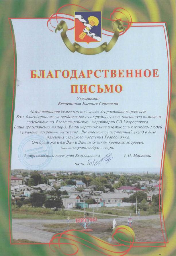 Благодарность руководителю организации