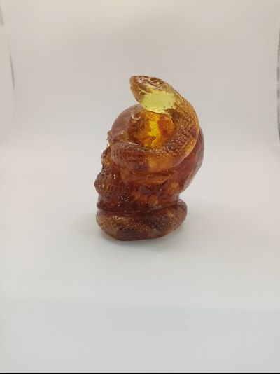 Череп со змеей