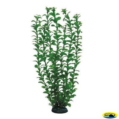 Ар1180 4689Р Растен. пласт.46см. зелен. людвигия