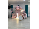 ФОТОЗОНА ИЗ ШАРОВ "МИЛЫЙ ЗАЙКА"