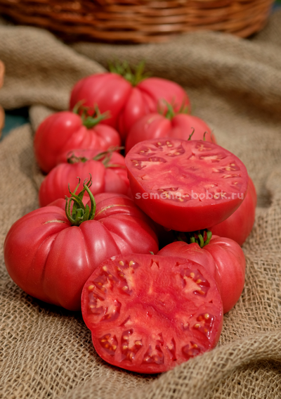 Томат Чалма Агры, 10 шт