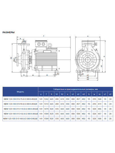 NBW 125-100-315-75.0/2-G