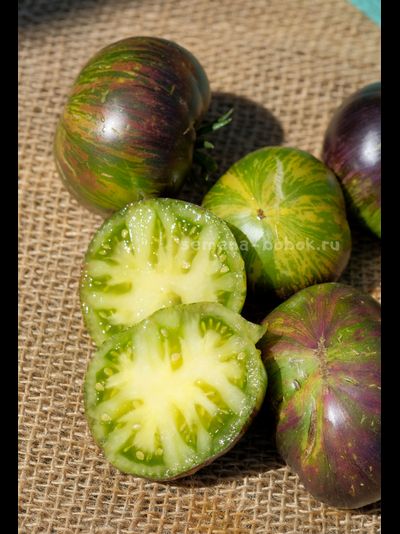 Томат Dwarf Rebella (Гном Ребелла), 10 шт