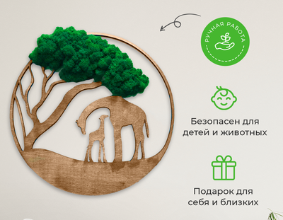 ЖИВАЯ ЭКО-КАРТИНА 1017