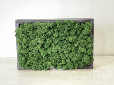 ЖИВАЯ ЭКО-КАРТИНА 1055