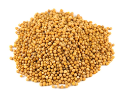 Горчица семена 500 грамм