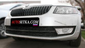 Premium защита радиатора для Skoda Rapid Ambition и Elegance (2014-2017) из 2-х частей