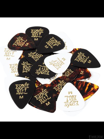 Ernie Ball 9180 Standard