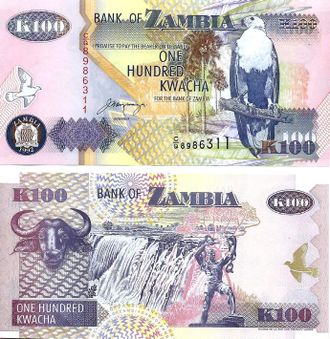 Замбия 100 квача 1992 г.