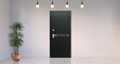 Стальная дверь   Лазер. Заказная модель.