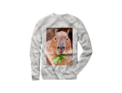 Свитшот Капибара, Kapibara-san №21