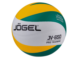 Jogel JV-650 Pro Training ЦБ-00002653 (Волейбольный мяч)