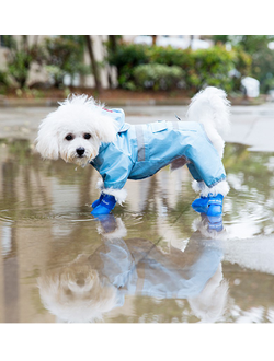 Сапожки резиновые ярко-желтые для собак