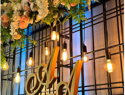 Гирлянда "Эдисон"