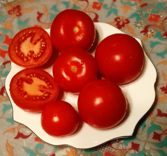 Семена томата Уникальный Кульчицкого/ *нов 2025