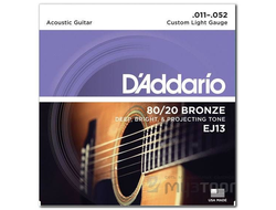 D'Addario EJ13