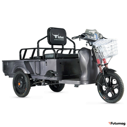 Грузовой электротрицикл Rutrike D1 ГП 1200 60V900W серый