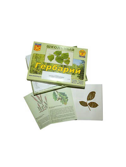 Гербарий "Дикорастущие растения" (30 видов, с иллюстрациями)