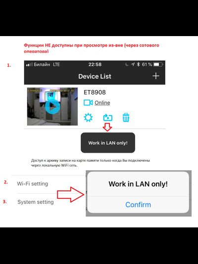 Охранная IP WiFi-LAN видеокамера с ночным видением и аудиоканалом (корпус ИК датчика), встроенный DVR. HD