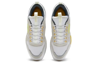 Reebok Classic Leather Light Gray