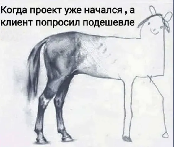 КОГДА ПОПРОСИЛИ ПОДЕШЕВЛЕ