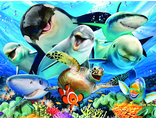 пазл, прайм 3д, обьёмный, картинка, дельфин, касатка, под водой, морской, океан, рыбы, игра, селфи