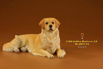 Золотистый ретривер (лежащий) - Коллекционная ФИГУРКА 1/6 scale Animal Model Golden Retriever 2.0 (MRZ057-3A) - Mr.Z