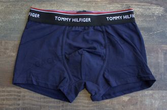 Трусы Tommy Hilfiger Blue