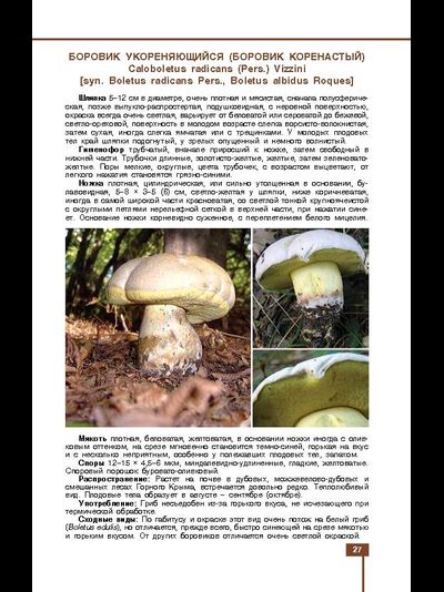 Грибы знакомые и незнакомые