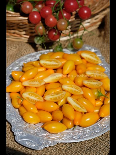 Томат Borghese Vase Roman (Римская Ваза Боргезе), 10 шт