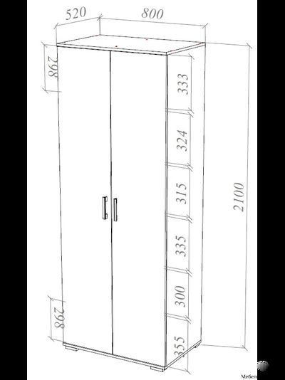 Шон-13 шкаф двухдверный распашной Белый