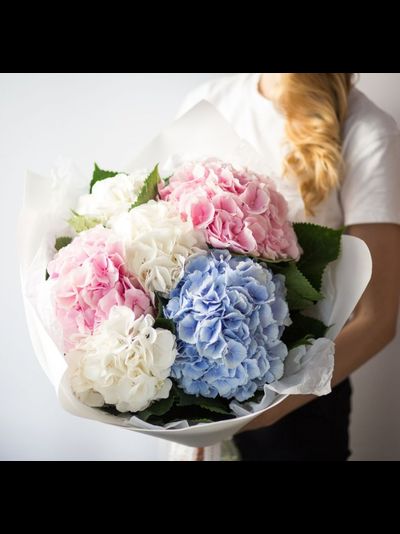 7 нежных гортензий