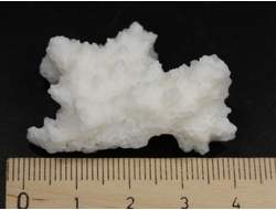 Коралл белый, коллекционный образец, Китай (40*29*18 мм, 9 г) №37629