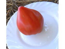 Томат Чудо Волфорда (Wolford Wonder)