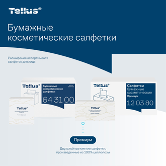 643100 Tork Tellus Premium бумажные косметические салфетки для лица рук и интимных мест 2 слоя в коробке дозаторе белые